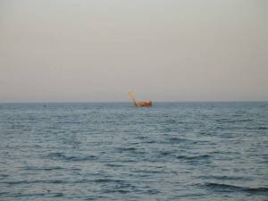 10643216_804254079596808_86528431_n