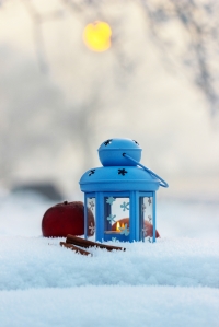 http://www.dreamstime.com/stock-image-blue-lantern-winter-scenery-time-image39963371