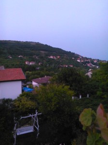 IMG_20150707_210821 (1)