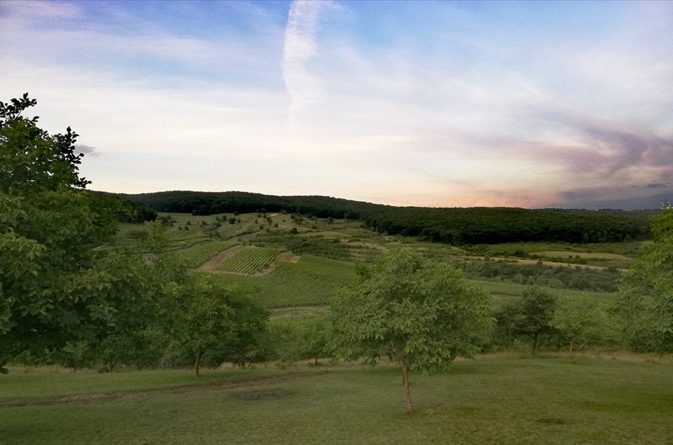 35963874_10156424533404844_531061650904580096_n